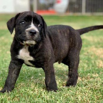 WhatsApp Image 2026-03-14 at 18.22.42