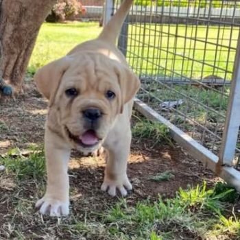 WhatsApp Image 2026-03-14 at 18.31.03